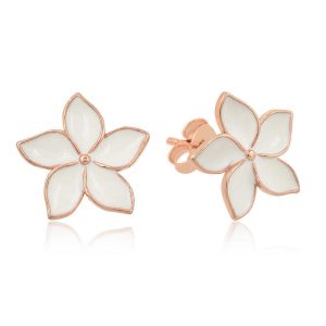 Gümüş Takılarım