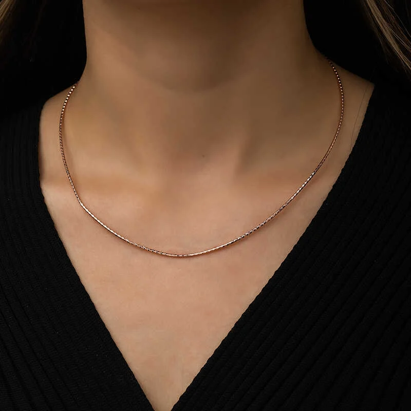 Gümüş Omega Choker Zincir - Görsel 2