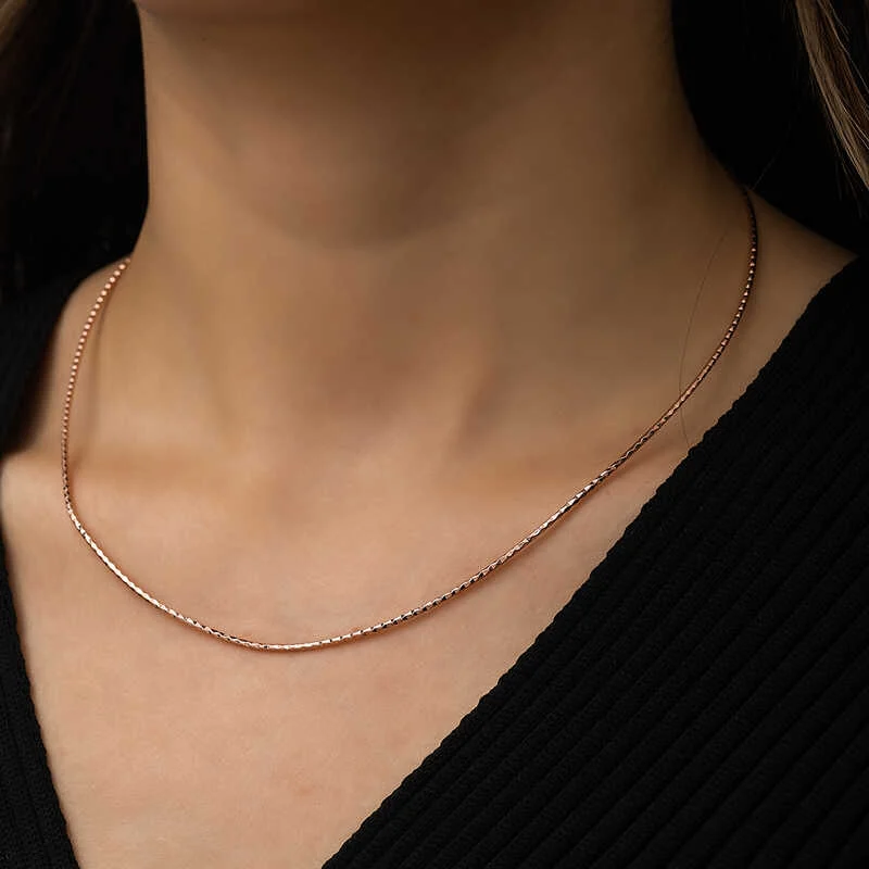 Gümüş Omega Choker Zincir - Görsel 3